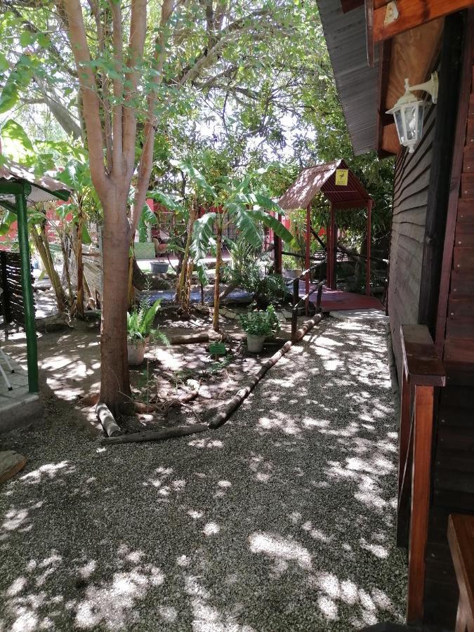 Two Palms Guesthouse Kakamas Екстер'єр фото